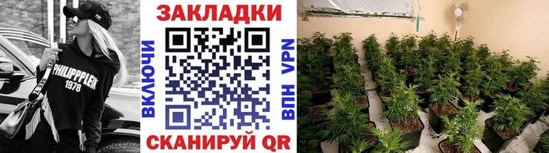 Купить закладку Ступино A PVP  Мефедрон  Гашиш  Каннабис  COCAIN 
