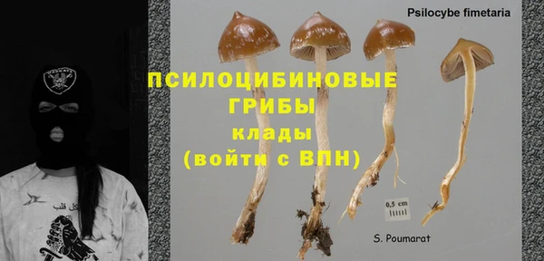 прущие грибы Наволоки