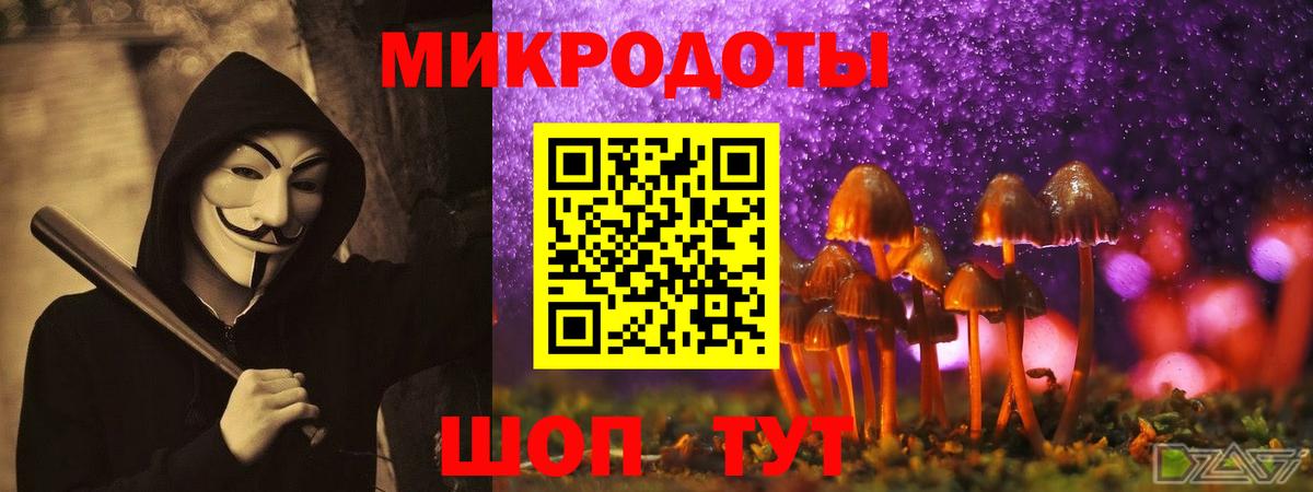 Псилоцибиновые грибы Magic Shrooms Ступино
